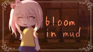 Bloom in Mud || Mizu5 || project sekai gacha edit