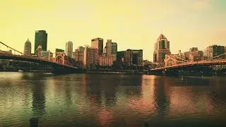 Common Wealth Family - Dog Days X Summer Nights [Official Music Video]