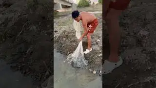 Timing throw! Castnet trapped a group of massive fish🐟💦 #shorts #fishing