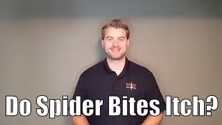 Do Spider Bites Itch?