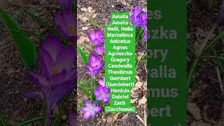 April 20: Name Days #names #celebrations #calendar #nameday