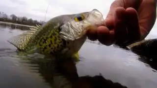 Fishing Levittown Lake for Crappies