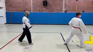Form 4 - Pyung Ahn Hyung Cho Dan