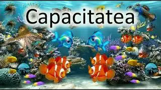 Capacitatea, unitati de masura, litrul, clasa a V-a
