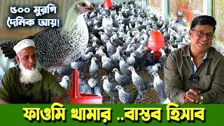 ২ মাসের বাচ্চা দিয়ে ফাওমি মুরগির খামার! ঘর তৈরি ও প্রস্তুতি সহ ৫০০ মুরগিতে প্রতিদিন ৩ হাজার টাকা আয়