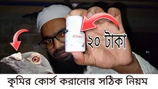 কবুতরকে কৃমির কোর্স করানোর সঠিক নিয়ম | racing pigeon | রেসার কবুতর |