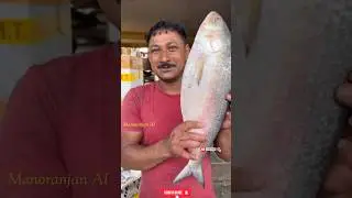 भारत की सबसे महंगी मछली कौन सी है? 56/90 (2)