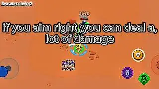 The ultimate surge guide...