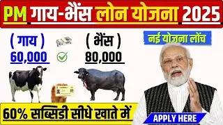 Pashupalan Loan Yojana 2025 | गाय-भैंस लोन कैसे ले | Pashupalan Loan Kaise Le | Pashu Loan Kaise le
