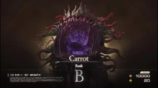 B Rank - Carrot [Hunt Location & Fight]