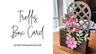Paperwishes Subscription Fabulous Folds Trellis Box Card