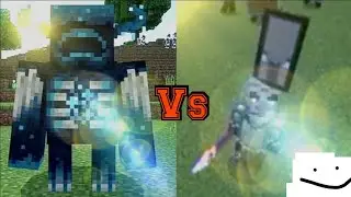 Illager General VS Warden