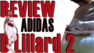 Review DLillard2