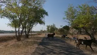 372 - Comps - Beaucaire à vélo par la voie verte du pont du Gard