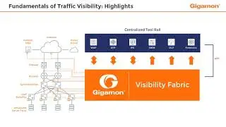 Fundamentals of Traffic Visibility: Highlights