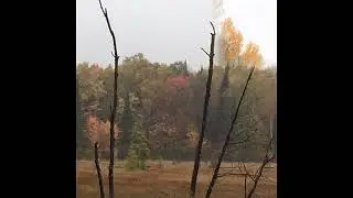 2019 Minnesota Fall color tour