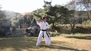 Introduction to Hankido and Hankumdo