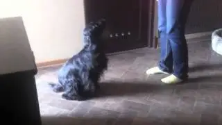 Coco 2