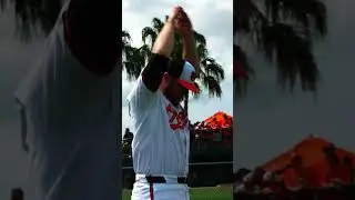 Lo-Fi spring vibes 🌴 #springtraining #orioles #lofi