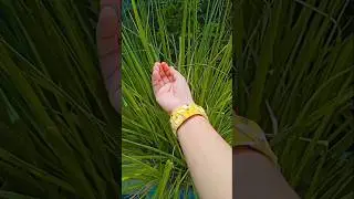 Beautiful Statement braided fabric bracelet#video #diy #creativesiya #viralshorts