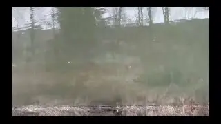 &Auml;schen Laichzeit in der M&ouml;ll!