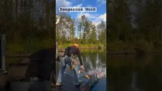 Dangerous Work #shorts #gutter #gutters #fail #rain #diy #guttering #raingutter #roofgutter