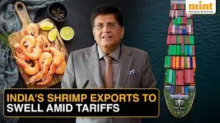 India's 'Smart' Plan To Revive Shrimp Exports Amid Tariffs | Andhra Pradesh Fisheries To Benefit