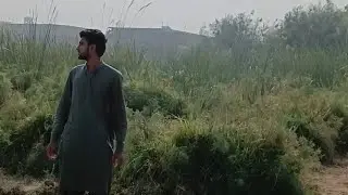 The 3.5KM Story...