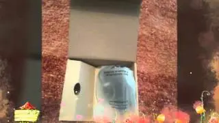 Mpow Magneto Auricular Deportivo