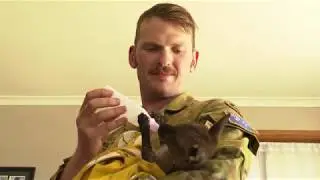 Australian Army treats injured wildlife on Kangaroo Island