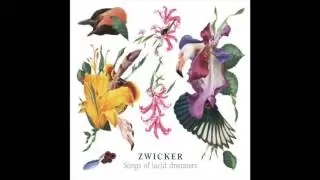 Zwicker - Ping Pong Muses (feat. Valentino Tomasi)