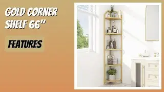REVIEW (2026): Gold Corner Shelf 66