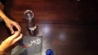 Fruit Infusion Water Bottle Review and Demonstration - 28oz Infuser Water Bottle by FruitFused