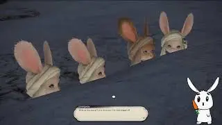 FFXIV Endwalker - Loporrit Ears - Stream Footage