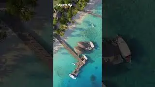 Summer Music Mix 2024 🎶 Best Of Vocals Deep House 🎶 David Guetta, Rema, Alan Walker, Miley Cyrus