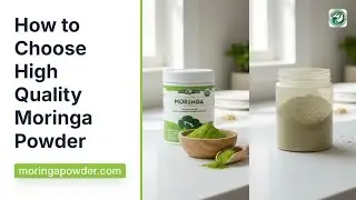 Best Moringa Powder: Quality Standards & What to Avoid
