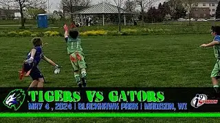 i9 Sports Flag Football:  Tigers vs Gators, 5-4-2024