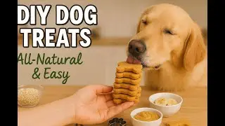 Easy Grain-Free Dog Cookies 🐶 | 3-Ingredient Natural Treat Recipe Your Pup Will LOVE!