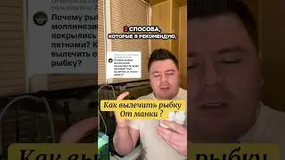 Два способа вылечить рыбку от ихтиофтириоза ‼️