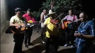 Los carnales del sur del zapote linaca