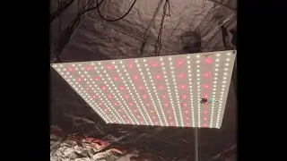 75W-150W-250W growlights without heatsink, Dimension, Led brand, Power customized,Driver Optional