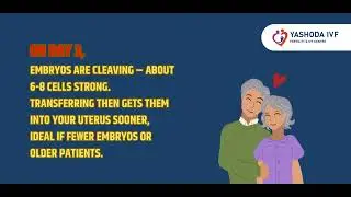 day 3 vs day 5 embryo transfer |  Yashoda IVF &Fertility Centre #yashodahospital #ivf