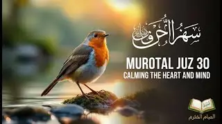 Tinch Uyqu Uchun Juz 30 Qur&rsquo;on Tilovati va Rizqni Jalb Qiluvchi Murottal | Jonli Efirdа