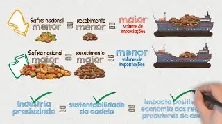 A cadeia de suprimentos do cacau