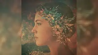 Echoed Apologies- Lofi Beats for Studying & Relaxing  Chillhop Background Music (No Vocals)