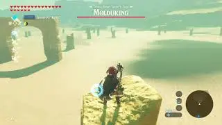 Killing a molduking really fast