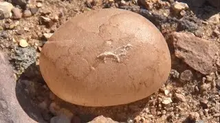 حجر هولتيت سعر و معلومات Holtite