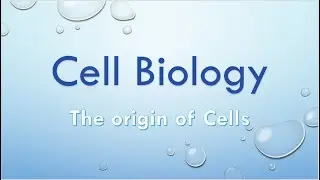 Origin of Cells (IB Biology HL/SL)