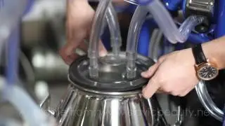 Milking Machine. No vacuum. Solutions|SlavicBeauty Milker