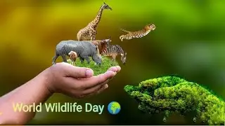 World Wildlife day status|| World Wildlife day whatsapp status ||#World Wildlife day 2022||March 3